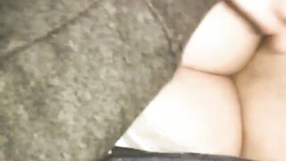 Titti la vacca gravida