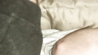 Titti la vacca gravida