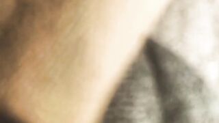 Titti la vacca gravida