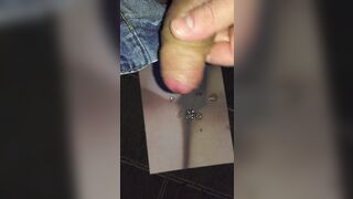 x mogliettina zoccola