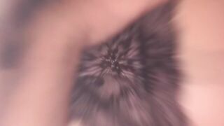 LA PORCA SEMPRE VOGLIOSA