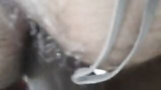 La mia cagna a pecora