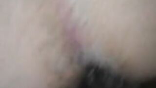 La mia cagna a pecora