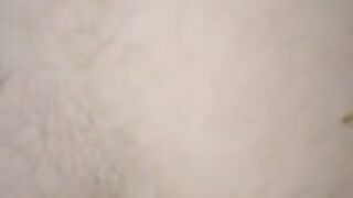 La mia cagna a pecora