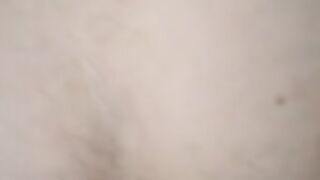 La mia cagna a pecora