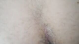 La mia cagna a pecora