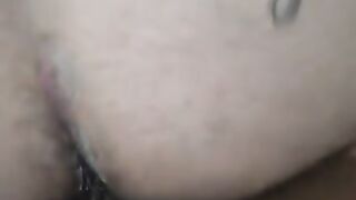 La mia cagna a pecora