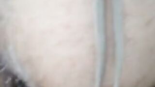 La mia cagna a pecora