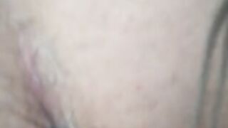 La mia cagna a pecora