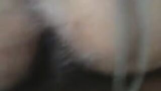 La mia cagna a pecora