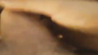 La mia cagna sborrata