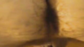 La mia cagna sborrata