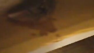 La mia cagna sborrata