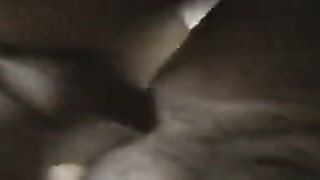 La cagna in calore montata da un amico del sito