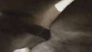 La cagna in calore montata da un amico del sito