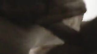 La cagna in calore montata da un amico del sito