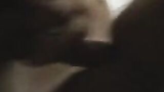 La cagna in calore montata da un amico del sito