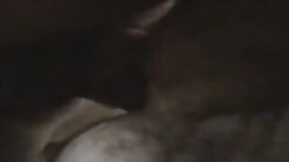 La cagna in calore montata da un amico del sito