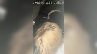 Pompinara bionda mostra il culo mentre succhia