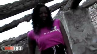 Tettona nera inculata