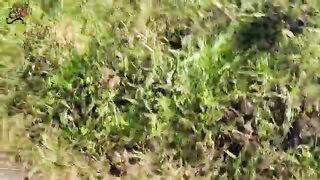 Puttanella tedesca tatuata