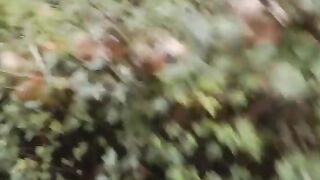 Troietta bionda inculata