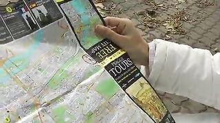 Troietta bionda inculata