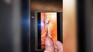 Tributo doppio x Rotbi90