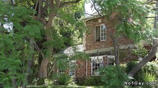 Scopata gay interrazziale in cucina