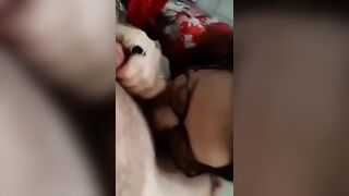 La moglie fa cornuto il marito con il BULL