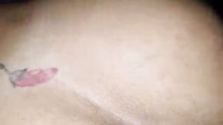 Troia brasiliana cavalca in auto