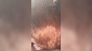 Italiana dai capelli rossi è una troia mangia cazzi