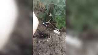 Creampie nel bosco alla mia fidanzata troia