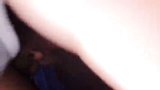 Puttanella brasiliana