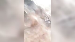 La mia puttana Samanta da Treviso mentre me lo succhia