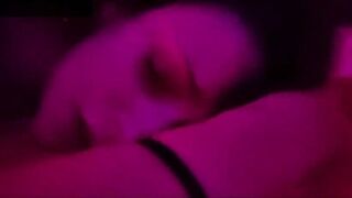 Moglie NAPOLETANA zoccola mette le corna al marito frocio