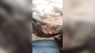 Giulia la mia trombamica