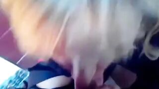 Pompino nel bagno dell'autogrill dalla prostituta rumena