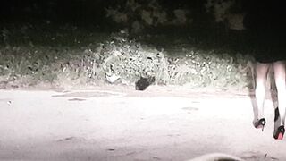 SEMPRE BELLO FARE LA PUTTANA DI STRADA (2di4)