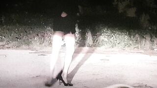 SEMPRE BELLO FARE LA PUTTANA DI STRADA (2di4)