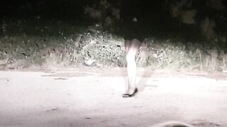 SEMPRE BELLO FARE LA PUTTANA DI STRADA (2di4)