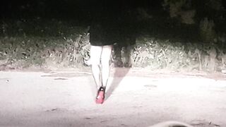 SEMPRE BELLO FARE LA PUTTANA DI STRADA (2di4)