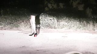 SEMPRE BELLO FARE LA PUTTANA DI STRADA (2di4)