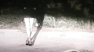 SEMPRE BELLO FARE LA PUTTANA DI STRADA (2di4)