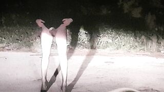 SEMPRE BELLO FARE LA PUTTANA DI STRADA (2di4)