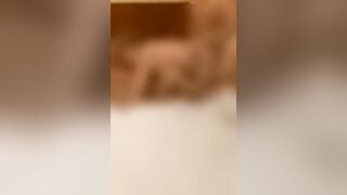 Filmo la mia signora scopata dal BULL