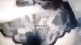 Mi faccio scopare a pecora