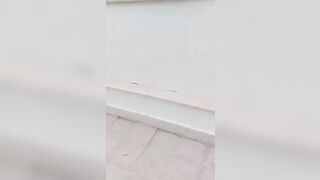 Scopa la sua cagna in diretta