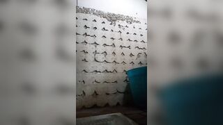 lei piscia nella toilette