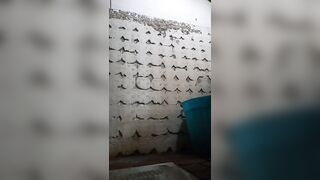 lei piscia nella toilette